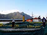 Hout Bay harbour