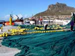 Hout Bay harbour: net_hb_6A25a
