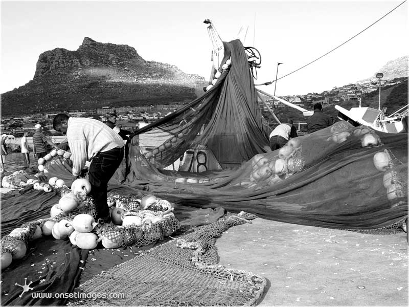 Hout Bay harbour - Fishermen overhauling their nets
