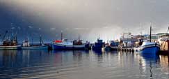 Hout Bay harbour