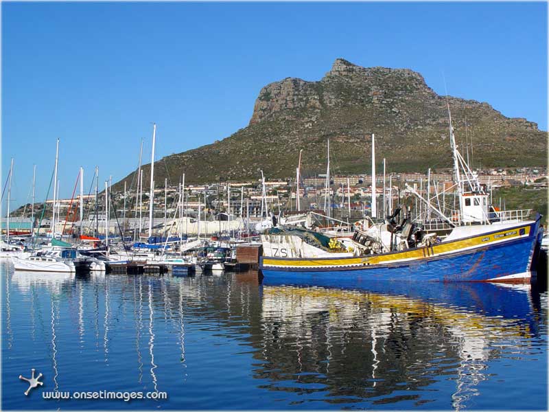 Hout Bay habour with Hangberg and Sentinel