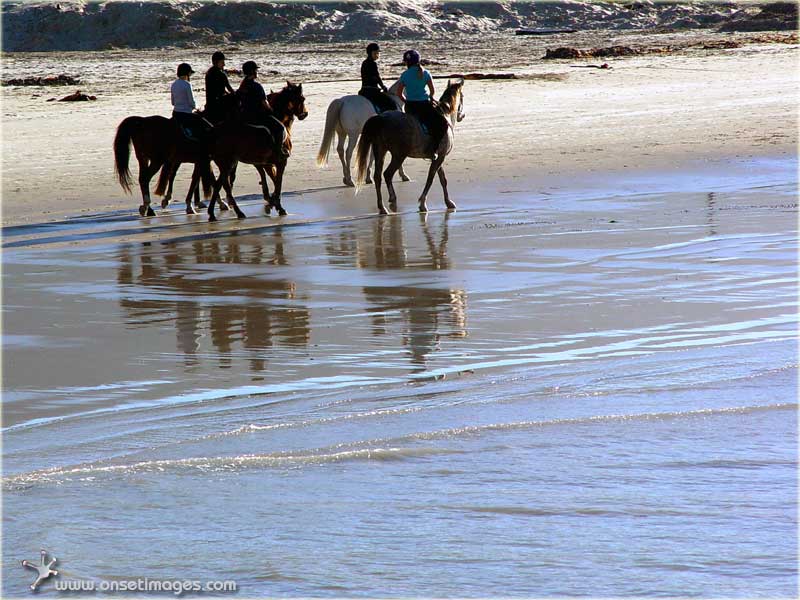 On horse back along Hout Bay beach