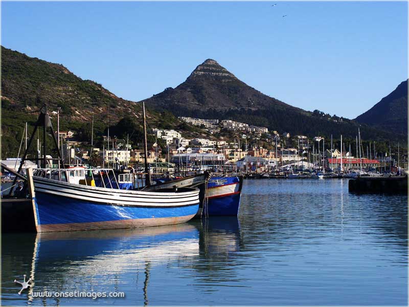 Hout Bay harbour: hbBoat_5314dl