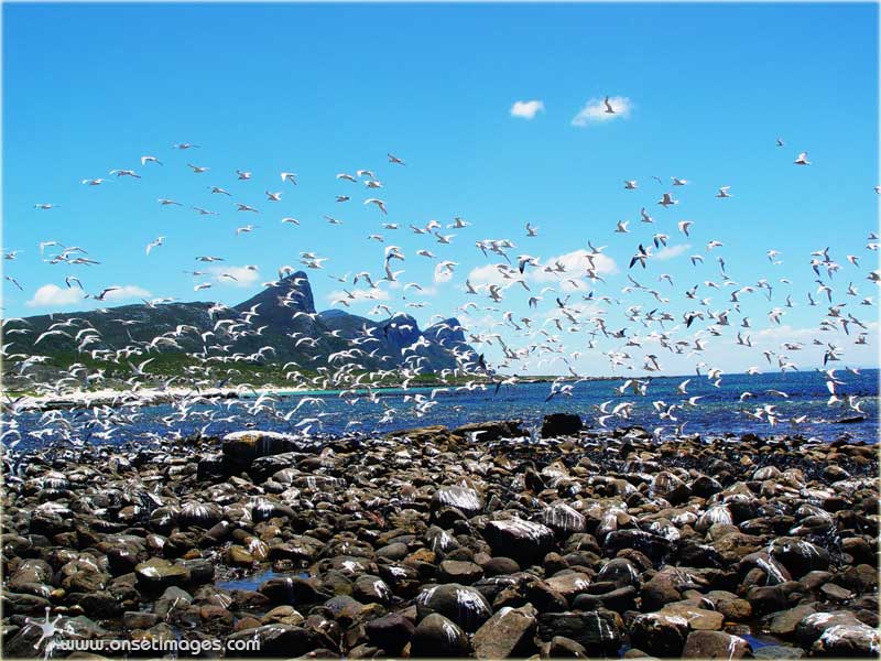 Cape of Good Hope