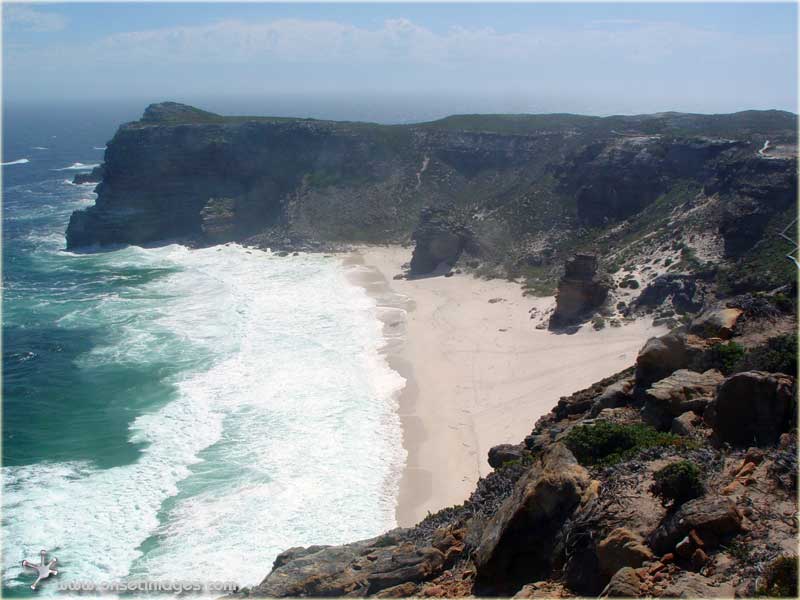 Beach between Cape Point and Cape Of Good Hope