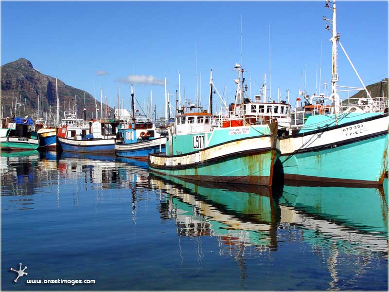 Hout Bay's Fishing Vessels